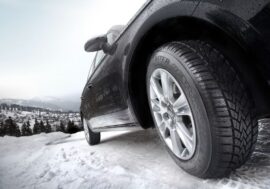 Bazarovky s nimiž se v zimě neztratíte