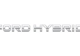 Ford Fiesta a Focus projdou elektrifikací